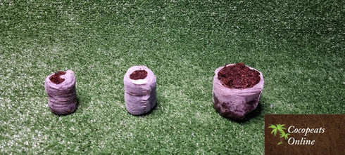Cocopeats Online Coco Peat Pellets Coir Pellets 60mm